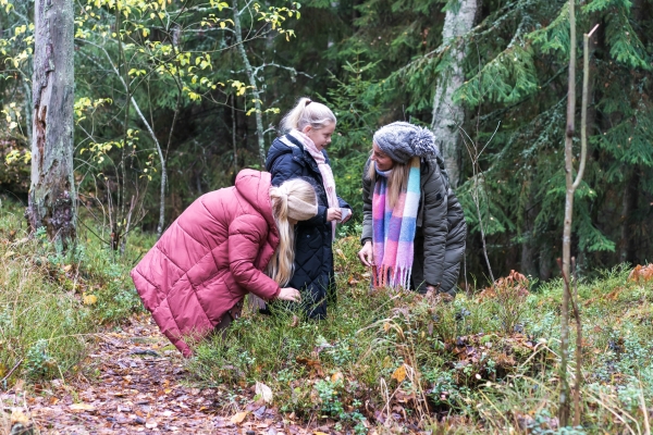 Kolme naista metsässä Uutelassa Vuosaaressa.